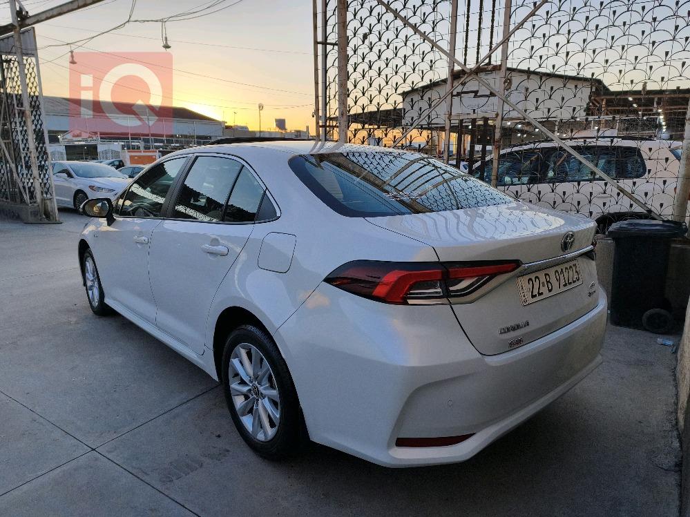 تويوتا كورولا